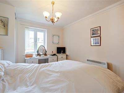 Picture 8